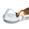 The Automatic Cat Fountain